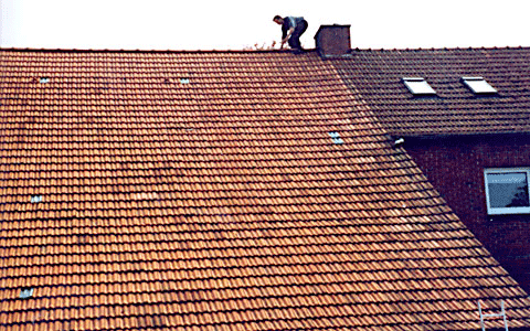 Schornsteinfeger Stalfort